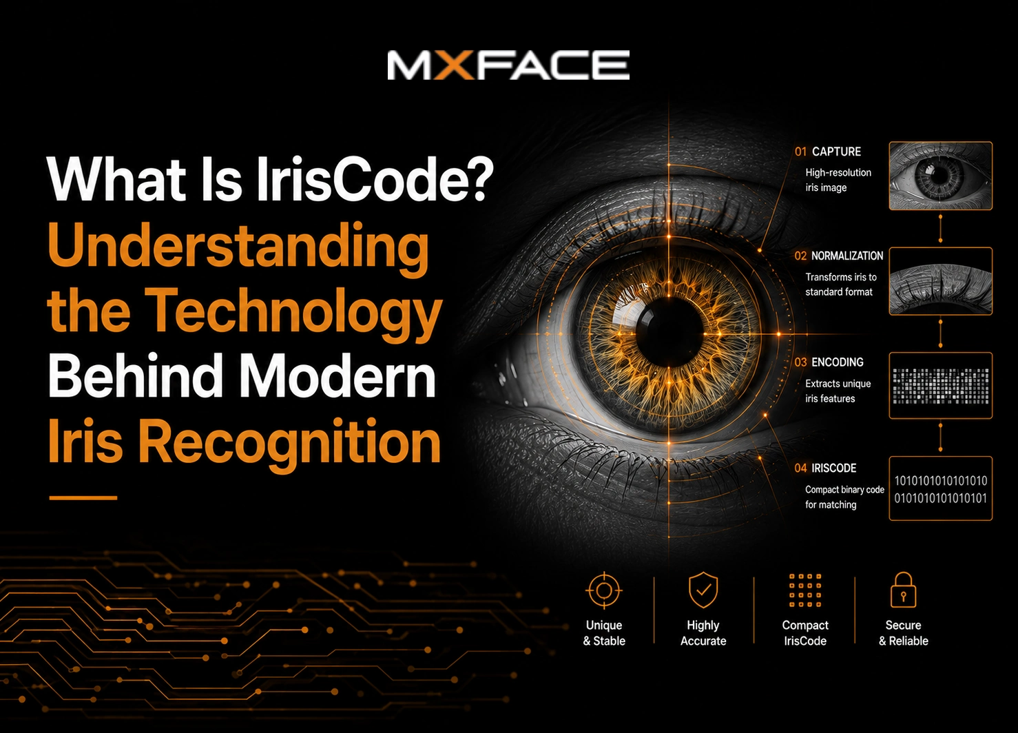 What is IrisCode? Understanding the technology Behind Modern Iris Recognition